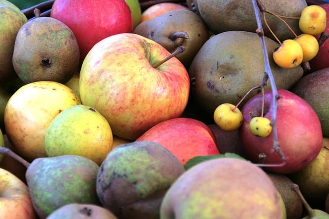 En omfattende guide til forskellige æblesorter